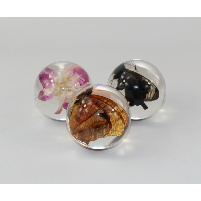 Resin paperweights souvenir